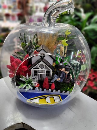 Teraryum Model 7 - Eskişehir çiçekçi