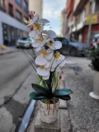 Yapay orkide , eskişehir çiçekçi, eskişehir yasemin