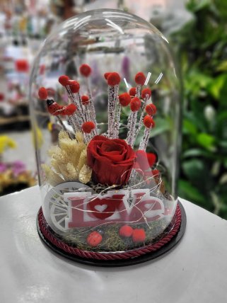 Teraryum Model 1 - Eskişehir Çiçekçi