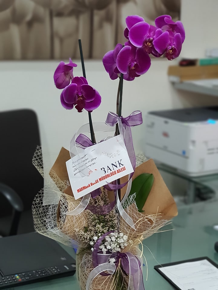 İki Dal Mor Orkide - Eskişehir Çiçek Siparişi