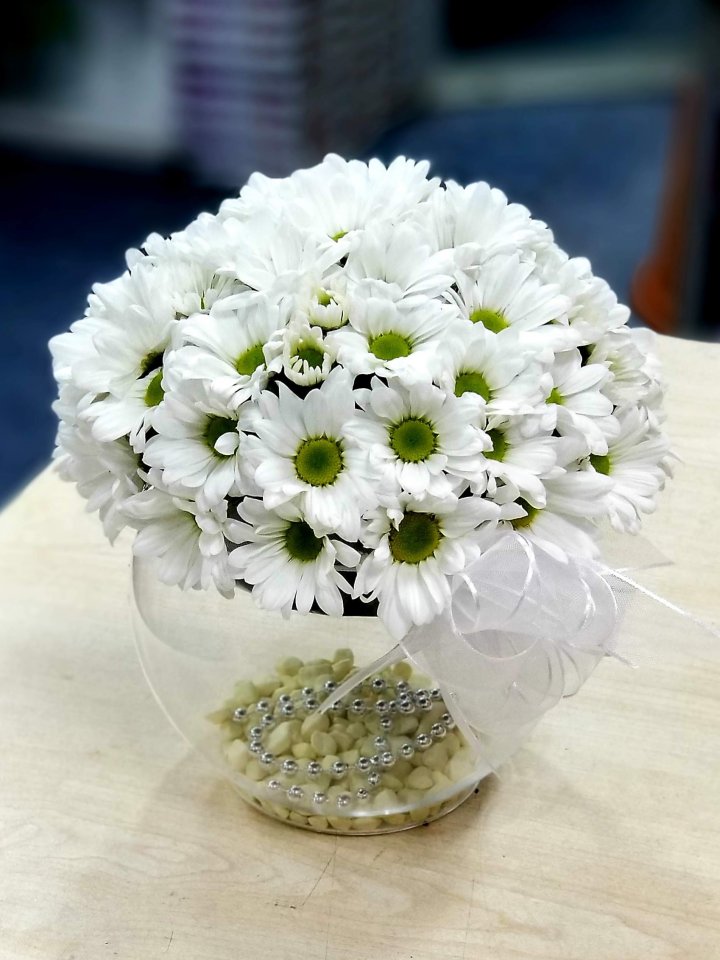 Fanusta Beyaz Papatyalar - Eskişehir Çiçek Siparişi