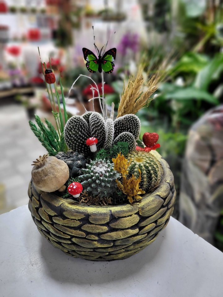 Teraryum Model 6 - Eskişehir Çiçekçi