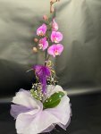Çiçekçi - Tek Dal Mor Orkide