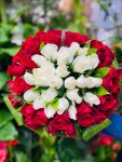 Çiçekçi - Kırmızı İçinde Beyaz Güller