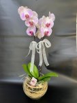 Çiçekçi - Cam Fanusta İki Dal Pembe Orkide