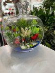 Çiçekçi - Teraryum Model 4