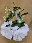 Çiçekçi - Yasemin Çiçeği ( Madagaskar )