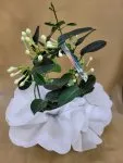 Çiçekçi - Yasemin Çiçeği ( Madagaskar )